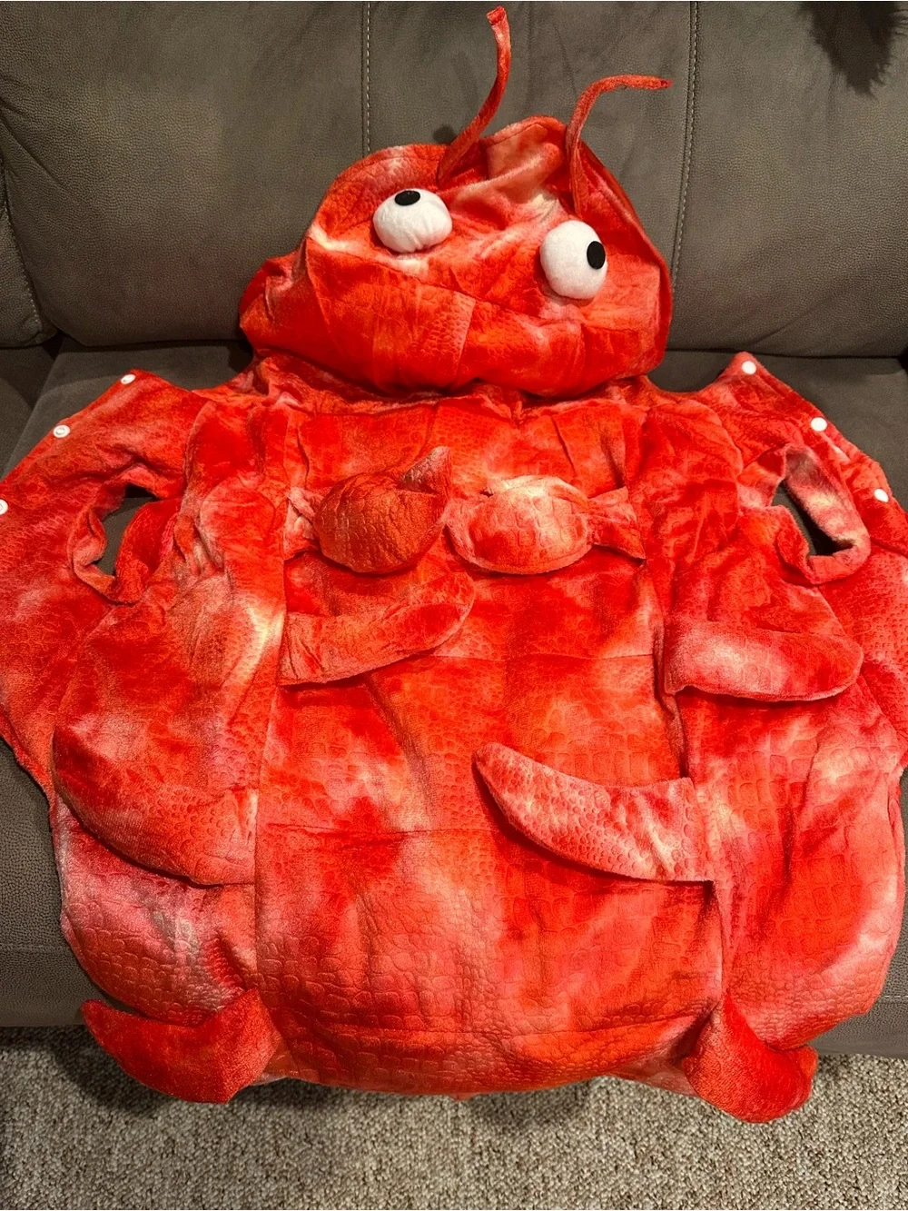 Red Lobster Crab Kids Costume - Plush Hooded Outfit